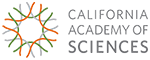CA Academy
